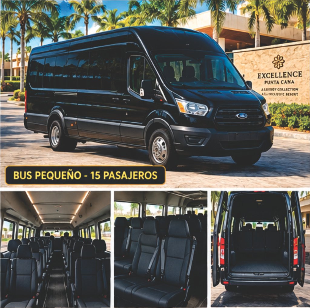 minibus for group transfers in Punta Cana, up to 15 passengers