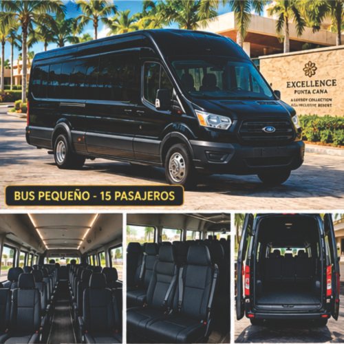 minibus for group transfers in Punta Cana, up to 15 passengers