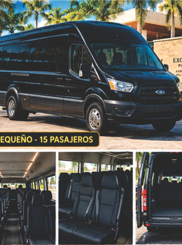 minibus for group transfers in Punta Cana, up to 15 passengers